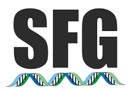 SFG